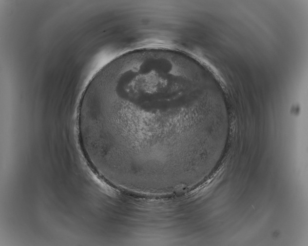 X0000095511375200712141414