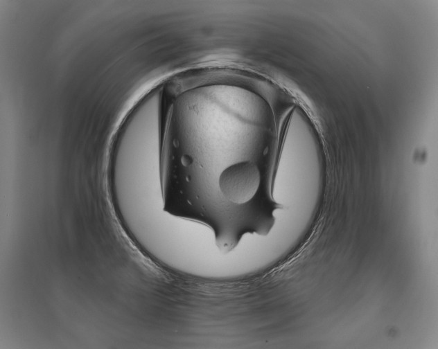 X0000095511376200712141414
