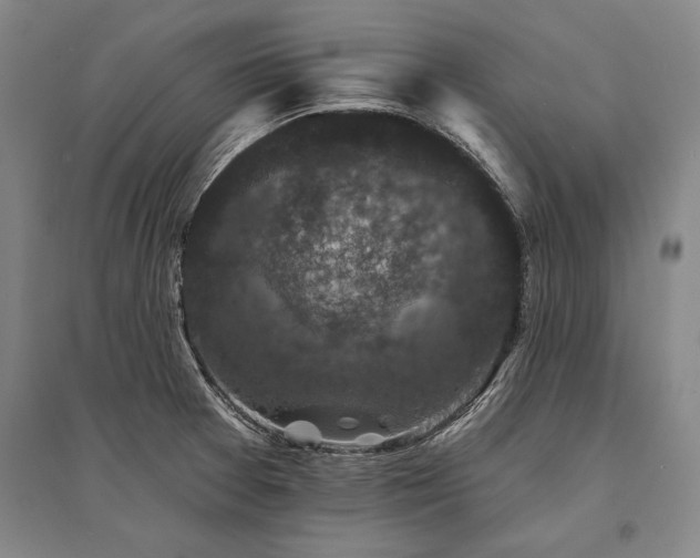 X0000095511377200712141414