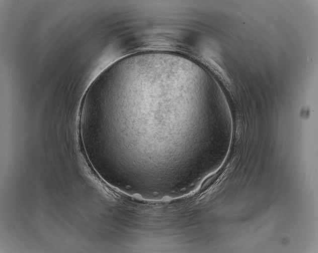 X0000095511378200712141414