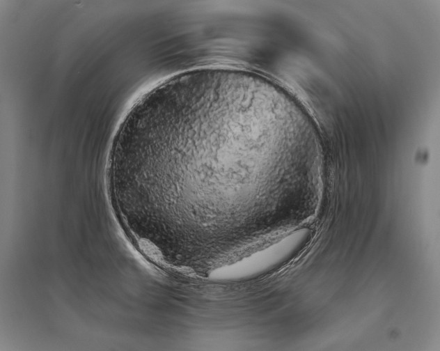 X0000095511379200712141414