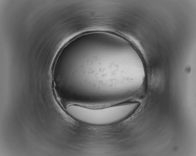 X0000095511380200712141414