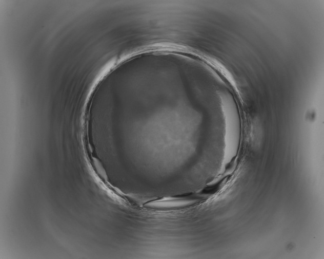 X0000095511381200712141414