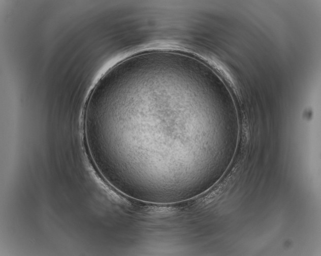 X0000095511382200712141414