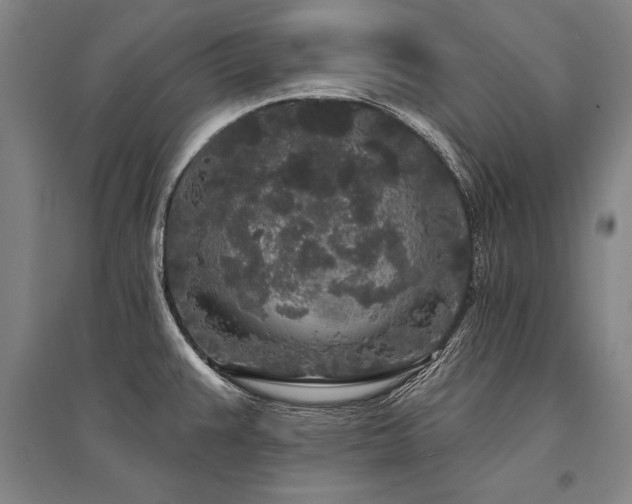 X0000095511383200712141414
