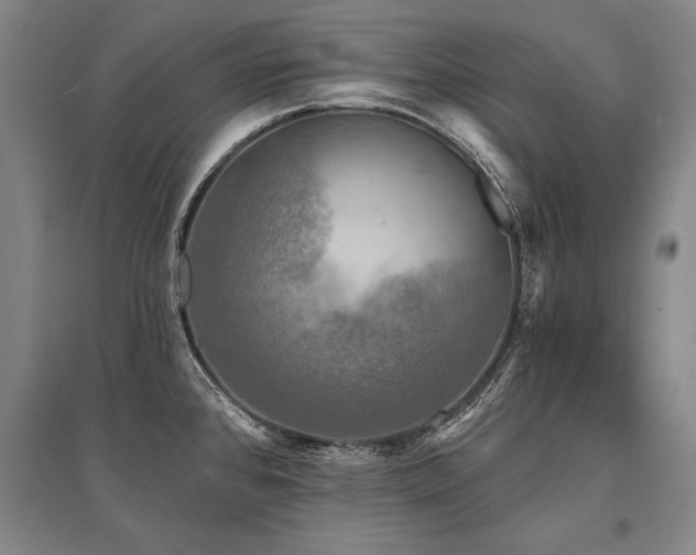 X0000095511384200712141414