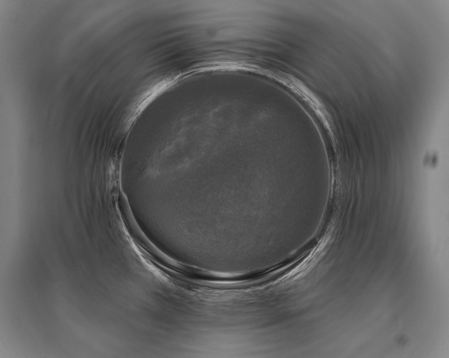 X0000095511385200712141414