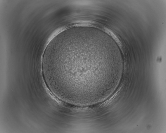 X0000095511386200712141413