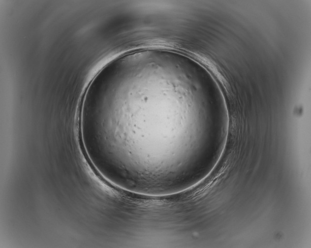 X0000095511387200712141413