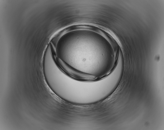 X0000095511388200712141413
