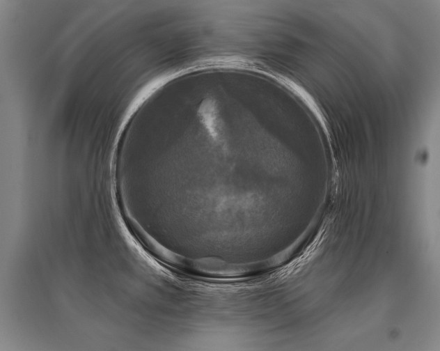X0000095511389200712141413
