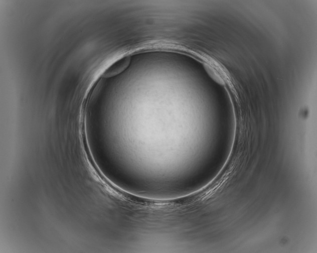 X0000095511390200712141413