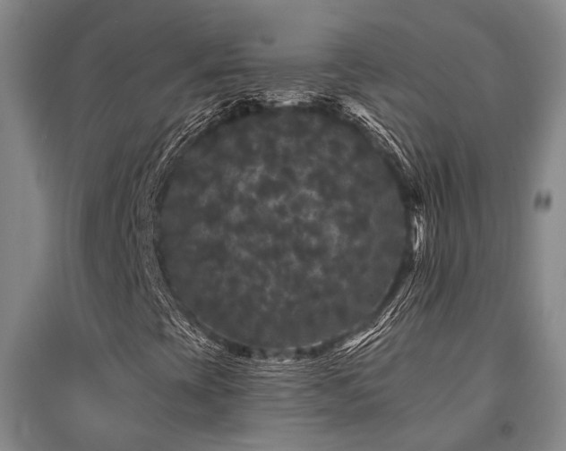 X0000095511393200712141413