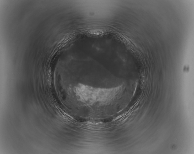 X0000095511394200712141413