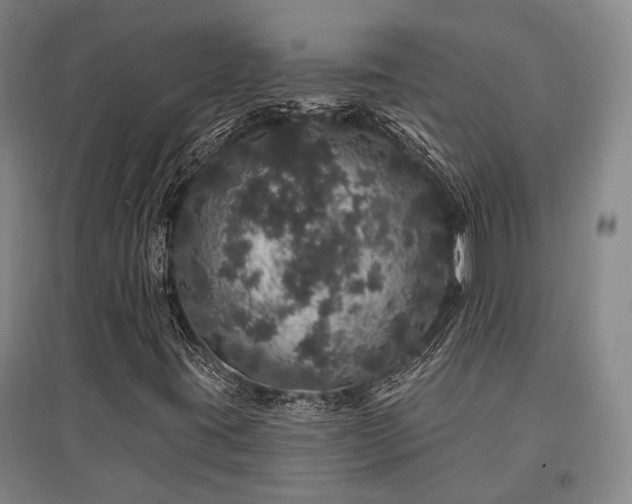 X0000095511395200712141413