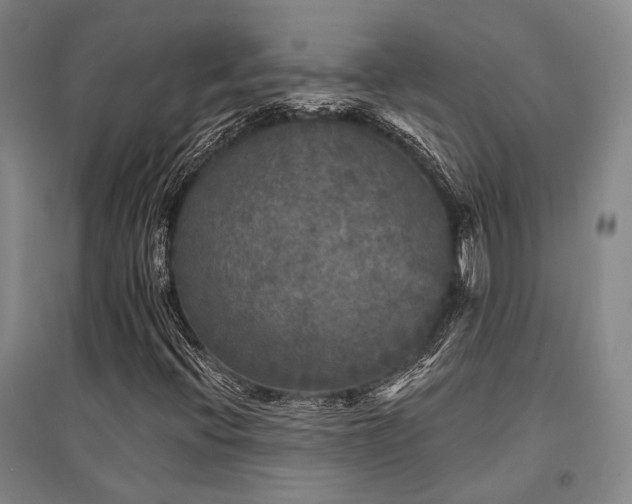 X0000095511396200712141413