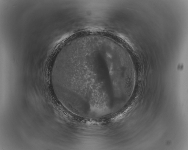 X0000095511398200712141413