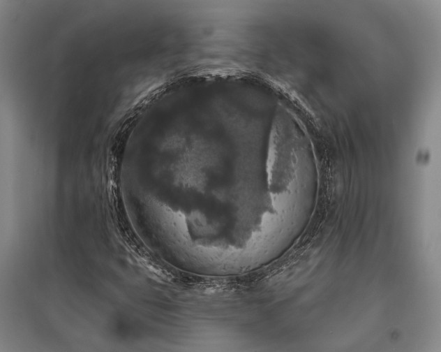X0000095511399200712141413