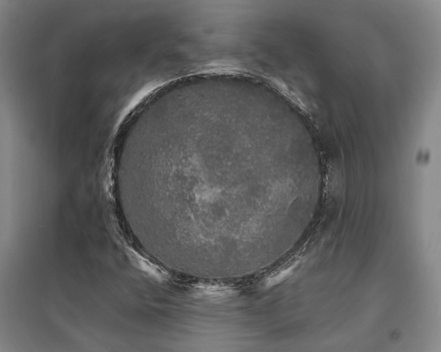 X0000095511400200712141413