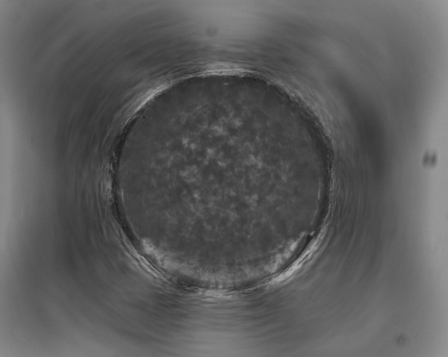 X0000095511401200712141413