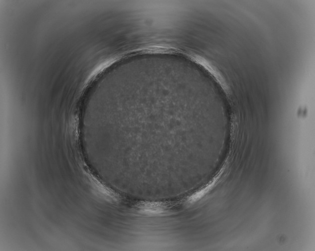 X0000095511402200712141413