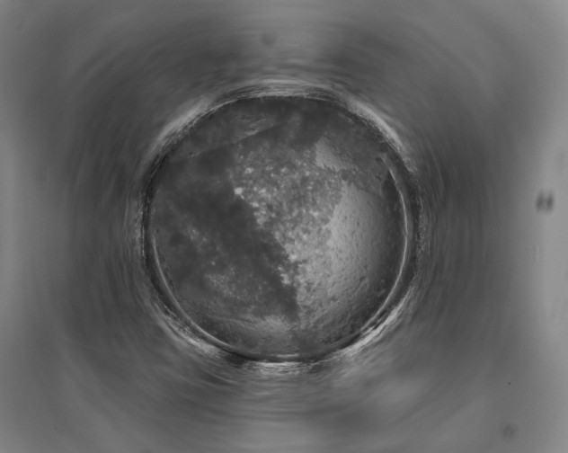 X0000095511403200712141413
