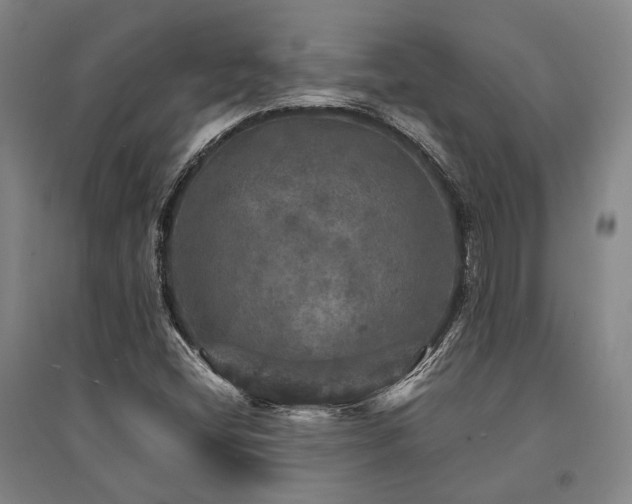 X0000095511404200712141413