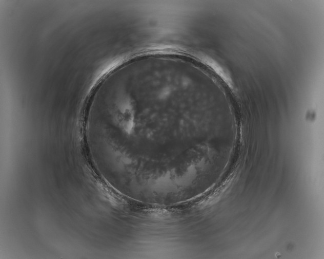 X0000095511405200712141413