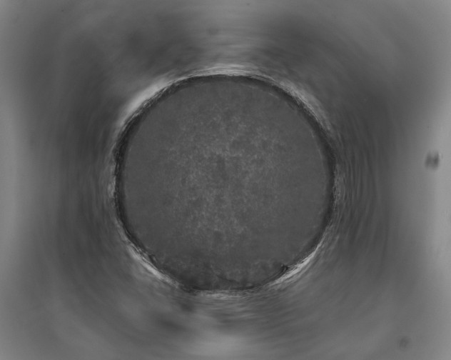 X0000095511406200712141413