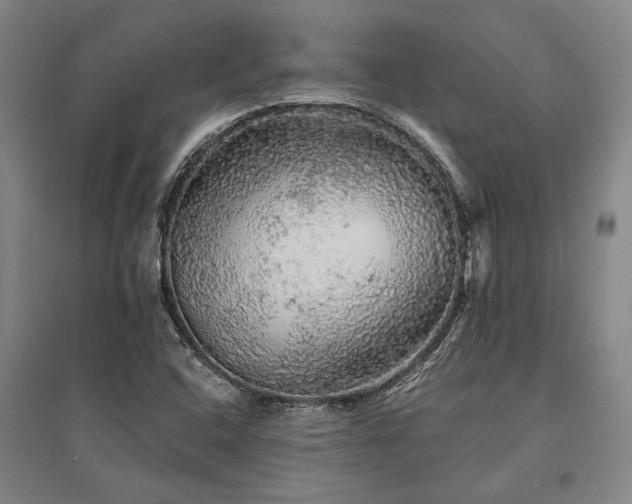 X0000095511408200712141413