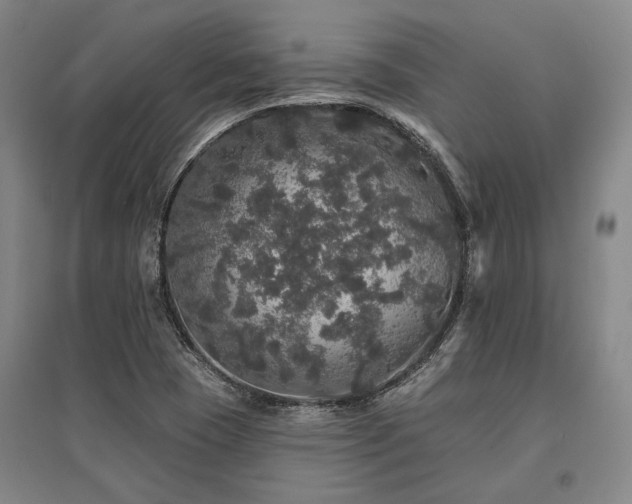 X0000095511409200712141413