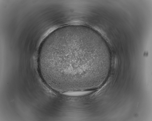 X0000095511410200712141413