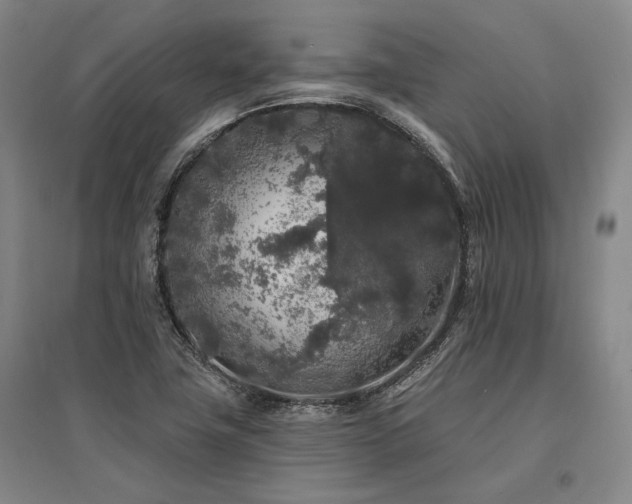 X0000095511411200712141413