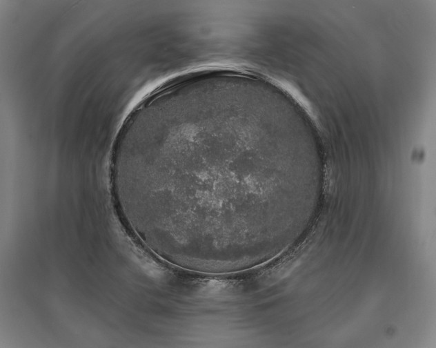 X0000095511412200712141413