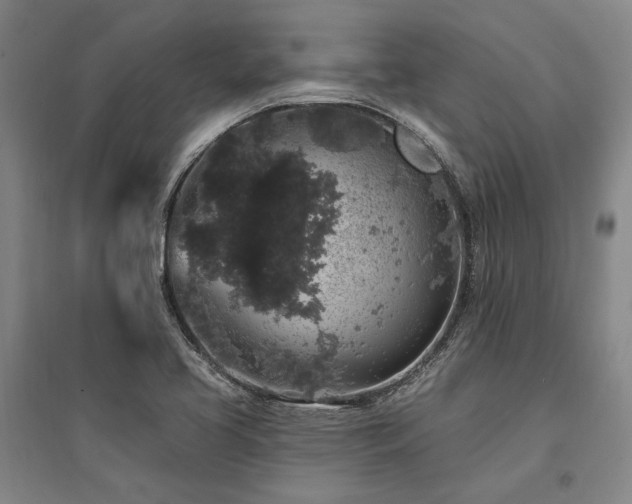 X0000095511413200712141413