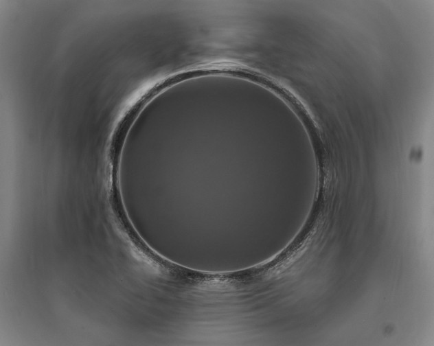 X0000095511414200712141413