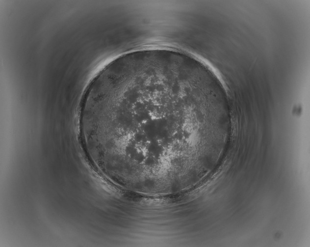 X0000095511415200712141413