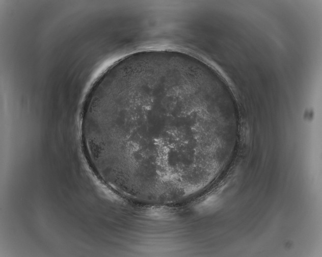 X0000095511416200712141413