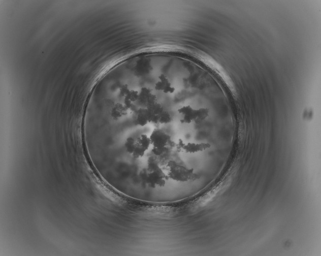 X0000095511417200712141413