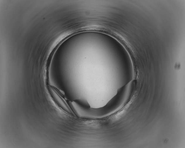 X0000095511418200712141413