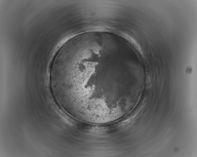 X0000095511419200712141413