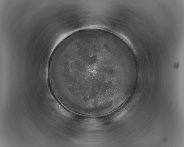 X0000095511420200712141413