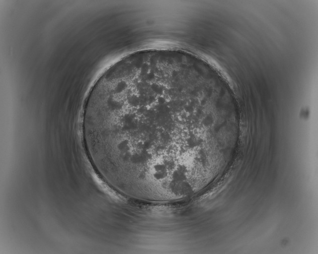 X0000095511421200712141413