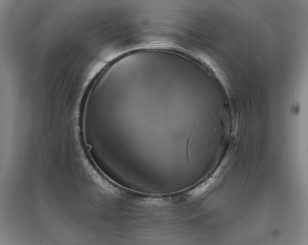 X0000095511422200712141413