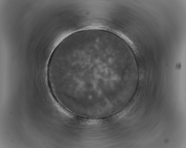 X0000095511423200712141413