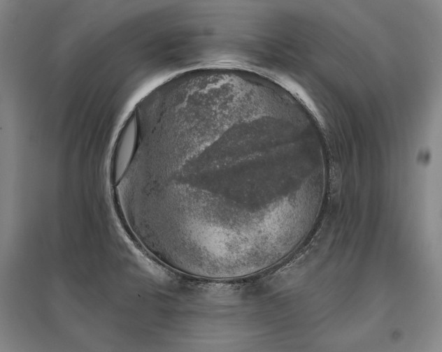 X0000095511424200712141413