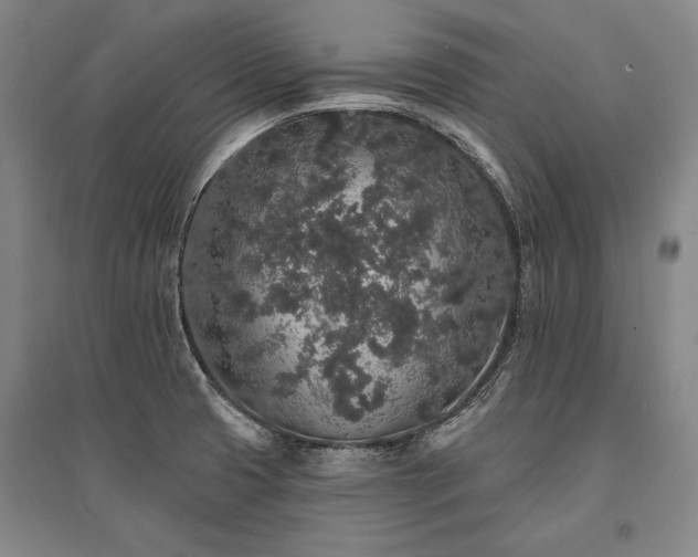 X0000095511425200712141413