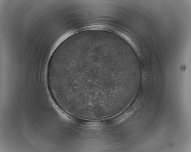 X0000095511426200712141413