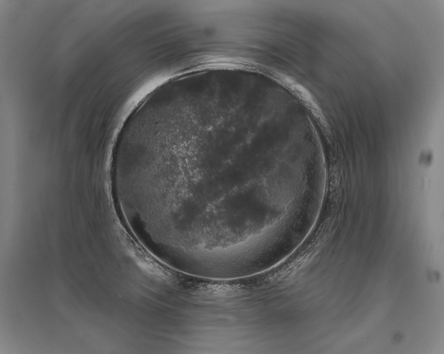 X0000095511427200712141413