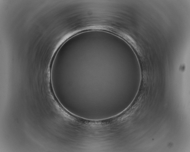 X0000095511428200712141413